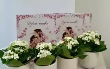 26 Maja Dzień Matki  5