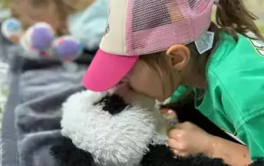 Dalsza część fotorelacji z akcji &ldquo;Ratuj Misia&rdquo;! 3