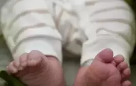 Wiosna w Szpitalu w Kępnie! 12