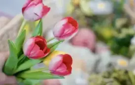 Wiosenny Tydzień w Szpitalu w Kępnie dobiegł końca!  2
