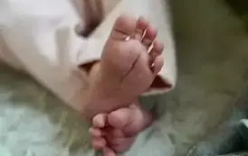 Święta Wielkanocne dobiegły końca 10