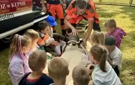 &ldquo;Ratuj Misia&rdquo; &ndash; Przedszkolaki w roli Małych Ratownik&oacute;w! 59