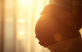 603937904_1352491893555125_3601962198381712049_n