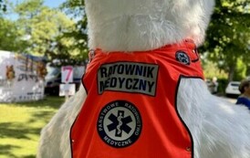 Akcja "Ratuj Misia" 66