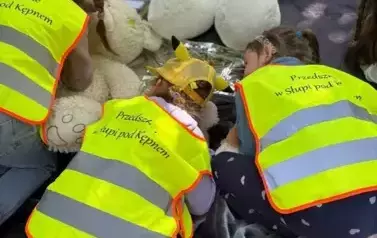 Dalsza część fotorelacji z akcji &ldquo;Ratuj Misia&rdquo;! 79